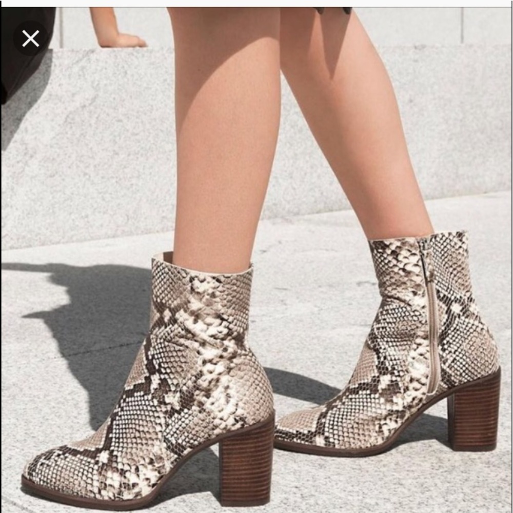 Steven Madden Rewind Snakeskin booties